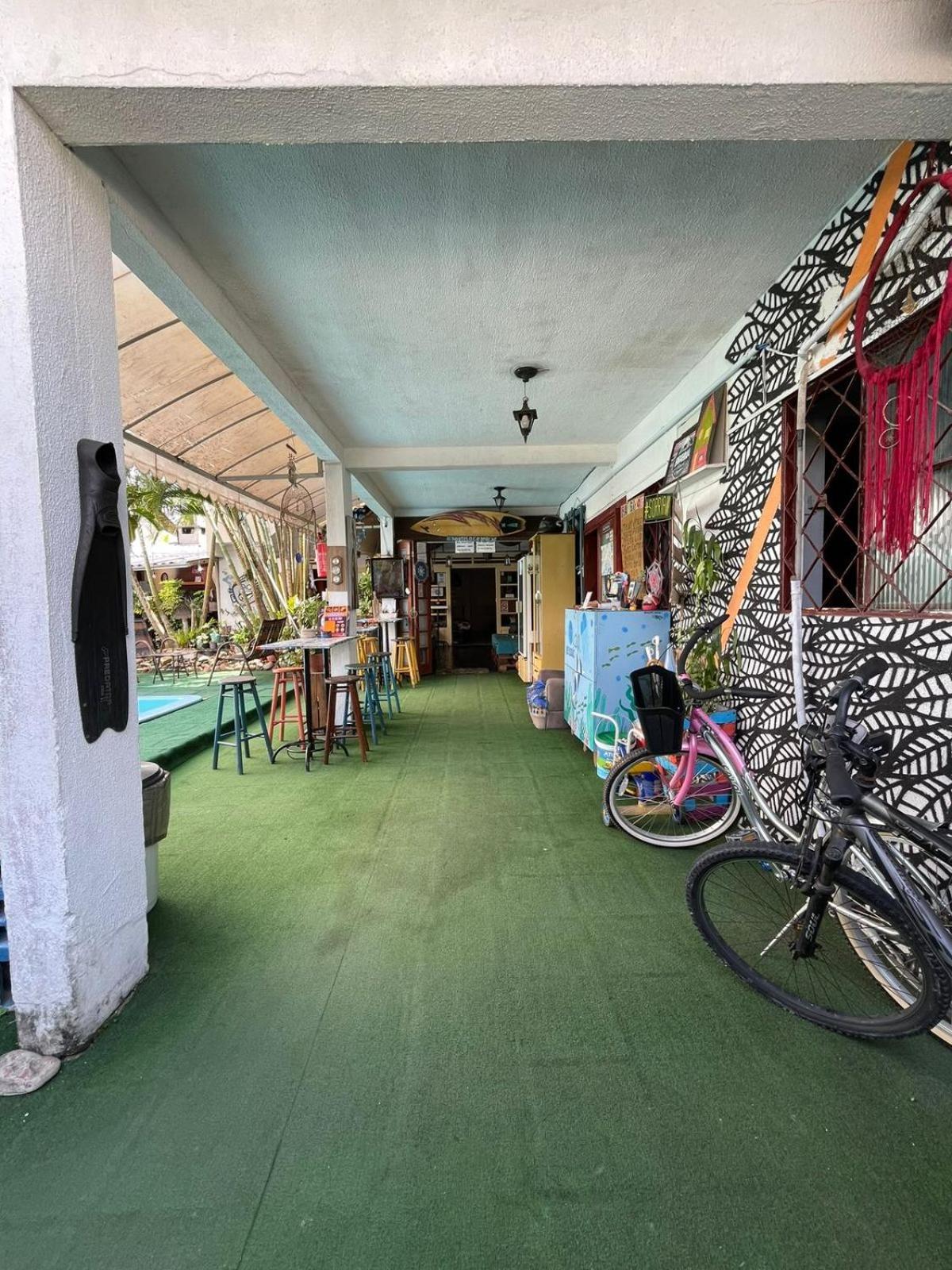 Balneário Camboriú Oceanic Hostel מראה חיצוני תמונה